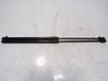 Tailgate/trunk strut/damper 81A827552B