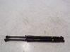 Tailgate/trunk strut/damper 41627166758