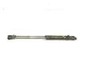 Front bonnet/hood damper/strut C2Z3481
