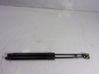 Tailgate/trunk strut/damper 8U0827552B