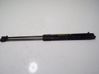 Tailgate/trunk strut/damper 39021480