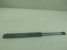 Tailgate/trunk strut/damper 2284725