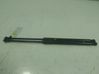 Tailgate/trunk strut/damper A4539800164