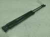 Tailgate/trunk strut/damper 