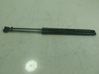 Tailgate/trunk strut/damper 575827550D
