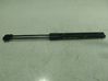 Tailgate/trunk strut/damper 8W9827552C