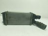 Intercooler radiator 9803900780
