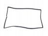 Rear door rubber seal (on body) 