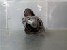 Starter motor M000T91381