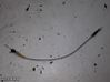 Línea de cable puerta delantera 7059677119702