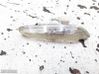 Front fender indicator light 6313693299810