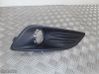 Front grill C1BB15A299A