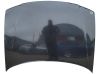 Pokrywa przednia / Maska silnika 8L0823029C