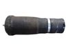 Rear air suspension bag/shock absorber 