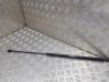 Front bonnet/hood damper/strut 12803213