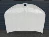 Engine bonnet/hood 8737174