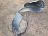 Front wheel arch liner splash guards 