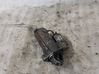 Starter motor 068911024E