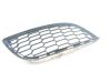 Front bumper lower grill C570