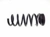 Rear coil spring F2GC5560CND