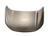 Engine bonnet/hood 