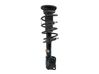 Front shock absorber with coil spring K2GC18K001