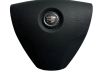Steering wheel airbag 12760893