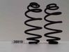 Front coil spring B207L