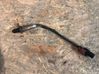 Lambda probe sensor 07C906262B