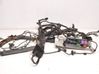 Other wiring loom 