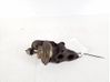 EGR valve 2580027040