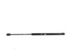 Tailgate strut 6896002030