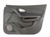 Rear door card panel trim 809003372R