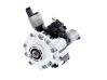 Fuel injection high pressure pump 5WS40163Z