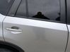 Rear door 