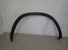 Fender trim (molding) 