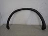 Fender trim (molding) 