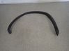 Fender trim (molding) 