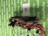 Fuse module 