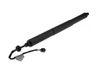 Tailgate/trunk strut/damper 