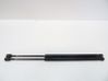 Tailgate/trunk strut/damper A4547400145