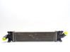 Starpdzesētāja radiators 1746975