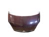Engine bonnet/hood 7901L0
