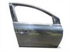 Front door 801001148R