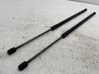 Tailgate/trunk strut/damper 
