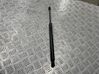 Tailgate/trunk strut/damper 13338367