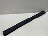Front door trim (molding) 7352092