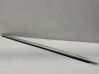 Rear door glass trim molding 