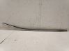Rear door glass trim molding 