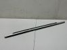 Rear door glass trim molding 
